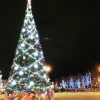 С главной городской елки в Обнинске украли лампочки