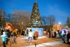 Новогоднюю ёлку открыли на площади Маяковского