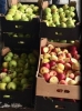 На оптовой базе в Обнинске выявлены более 150 кг санкционных яблок и груш