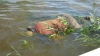 В Калужской области из реки достали тело утопленника