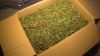 В гараже полицейские нашли почти полкилограмма марихуаны