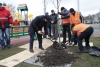 Министр ЖКХ посадил дерево в новом парке Калуги