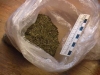 Полицейские изъяли у калужанина более 200 грамм конопли 