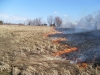 В Калужской области начались массовые палы травы