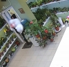 В Калуге из цветочного магазина украли двух плюшевых медведей