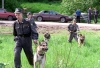 Полицейские с собаками всю ночь искали пропавших детей