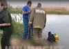 В пруду около Кошелева утонул 6-летний мальчик
