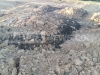 Птицефабрика вывалила в районе Секиотовского кольца несколько тонн куриного помета