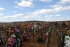 Новое кладбище в Калуге намерены построить на деньги частного инвестора