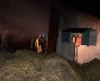 Пожар в коровнике в Калужской области: заживо сгорели 19 коров