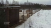 Заброшенный приют для собак нашли в Калужской области