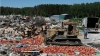 66 тонн польских фруктов уничтожили в Калужской области