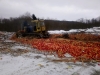 Под Калугой 20 тонн "санкционных" яблок раздавили бульдозером 