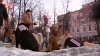 Собачий приют, закрытый в Калужской области, обвиняют в мошеннических сборах денег