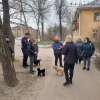 Калужских собачников оштрафуют за неубранные фекалии