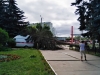 Сегодня ночью на Жуковский район обрушился ураган