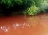 Вода в реке Шаня в Кондрово стала красной