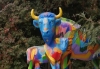 Калужане не оценили разноцветный дизайн коров бывшего мясокомбината