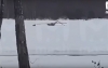 Севший дрон в Спас-Деменском районе, предварительно, — украинский PD-2
