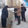 В Калуге чиновники вышли на поиск гадящих где попало собак