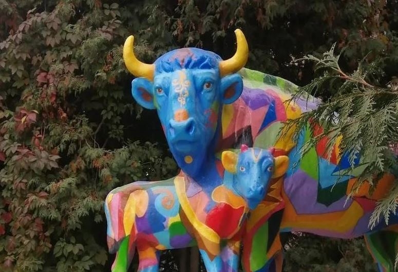 Калужане не оценили разноцветный дизайн коров бывшего мясокомбината