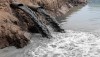 Бесконтрольный канализационный слив погубил рыбу в пруду под Калугой — Прокуратура