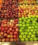 Калужский  Россельхознадзор предотвратил ввоз 400 тонн плодоовощной продукции из Марокко по поддельным фитосанитарным сертификатам 