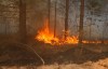 МЧС: В Калужской области есть риск возникновения торфяных пожаров