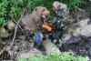Экологи очистили от мусора Киёвку