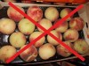 На персиках из Сербии выявлен вредный организм