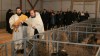 В Малоярославецком районе открылась овцеводческая ферма на базе охотохозяйства
