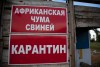 В Калужской области зафиксирована вспышка АЧС
