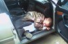 Пьяный калужанин пытался угнать «Жигули», но заснул  в угоняемой машине