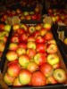Выявлено нарушение при ввозе свежих яблок