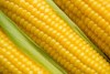 О запрете ввоза  кукурузы и соевых бобов из США