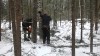 В Калужской области при валке леса погиб мужчина