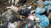 Свалку мертвых животных в Малоярославце устроила московская ветклиника