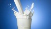 В молоке, произведенном предприятием Калужской области, обнаружен антибиотик