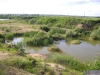В Калужской области утонул четырехлетний мальчик