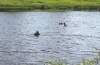 Двое детей и двое взрослых утонули в Угре