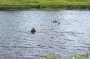 Следственный комитет проводит проверку по факту исчезновения 4 человек на берегу реки 