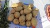 В Калуге сезонно дешевеет картофель, зато в цене растут огурцы и чай 