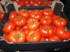 В Обнинске уничтожили почти 45 килограммов санкционных помидоров