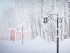 Апрельская погода в Калуге сменится 10-градусными морозами
