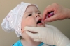 Калужской области не хватило вакцины от полиомиелита