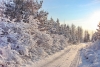 Солнечная и морозная погода без снега  придет в Калугу