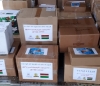 Калужане отправили подарки сирийским детям