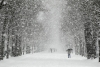 Снегопад в Калуге продлится до Нового года