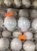 В Обнинске продают яйца из будущего