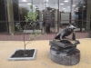 У скульптуры "Кота ученого" в Калуге посадили дуб